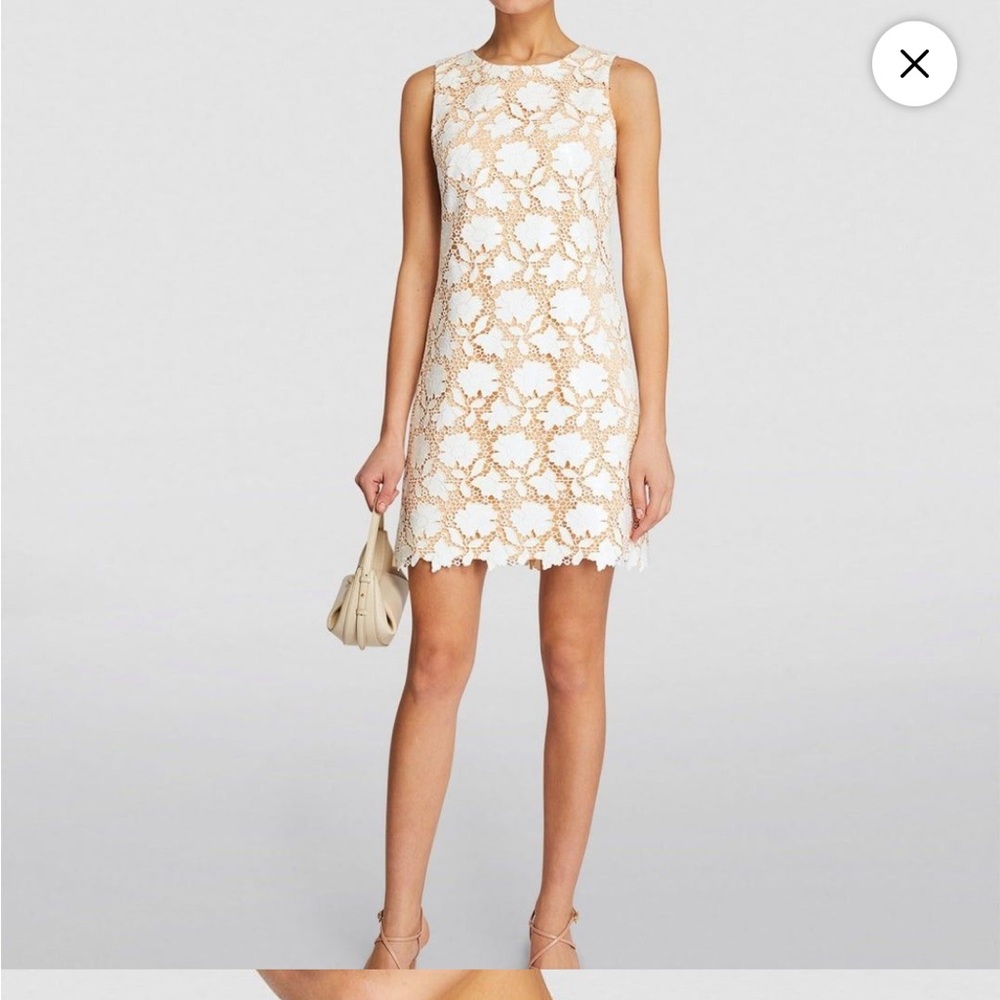 NWT Alice Olivia Clyde dress 4